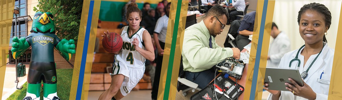 Benefits and Use Cases of VCCs for Secure Online Transactions